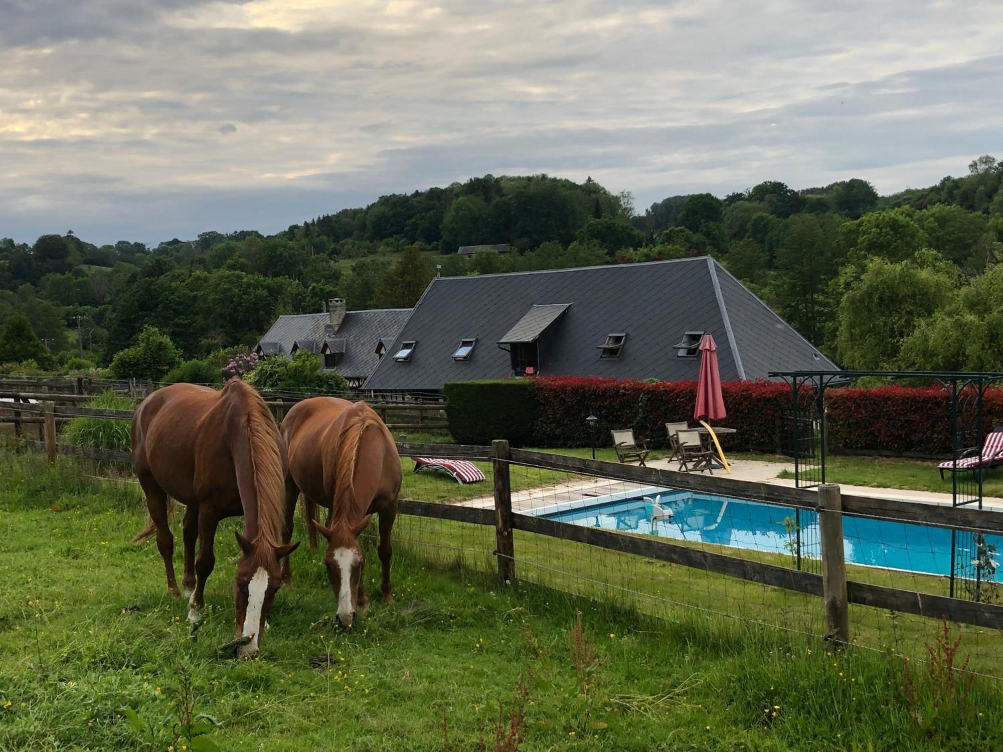 Bed and Breakfast Le Champ Des Possibles Manerbe Zewnętrze zdjęcie