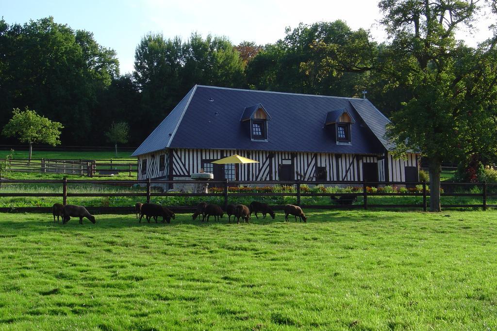 Bed and Breakfast Le Champ Des Possibles Manerbe Zewnętrze zdjęcie